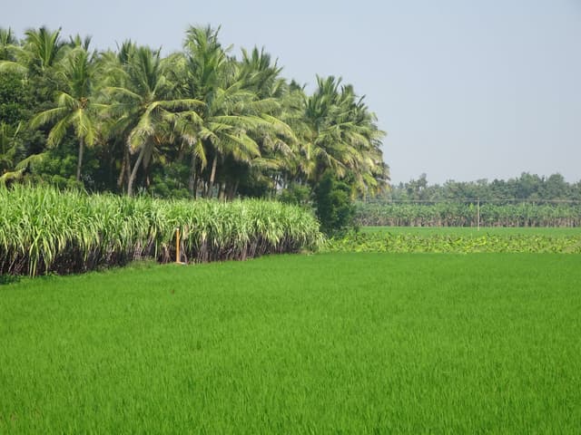 Agroécologie pratiquée dans les paysages